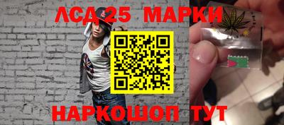 шишки Обнинск