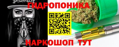 шишки Обнинск