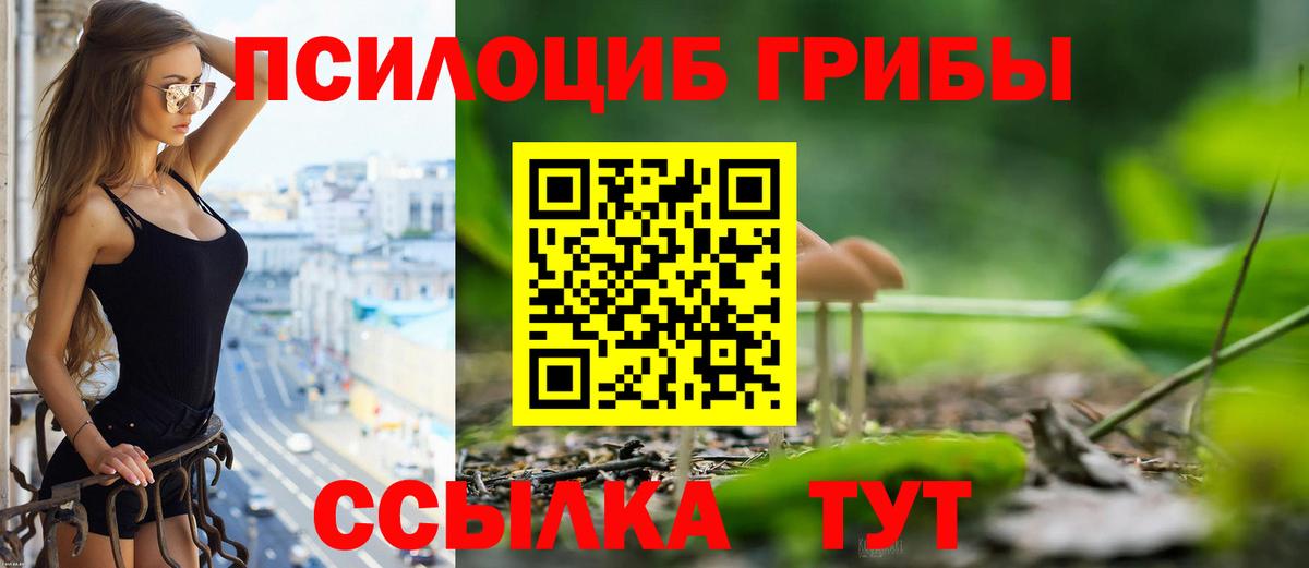 Псилоцибиновые грибы MAGIC MUSHROOMS  цена наркотик  Армавир  Вход с VPN  Галлюциногенные грибы MAGIC MUSHROOMS 