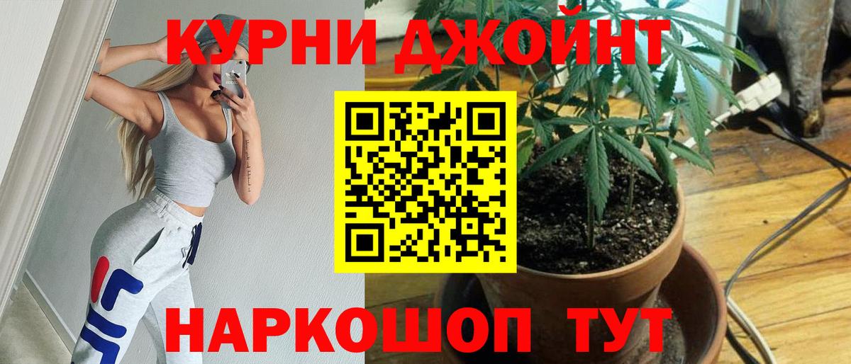 Армавир  Бошки Шишки конопля  Канабис план  Вход с VPN 